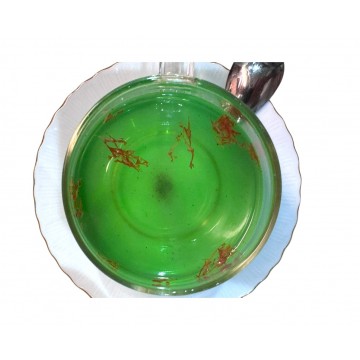 Okaliptus Çayı - Sultan Tea...