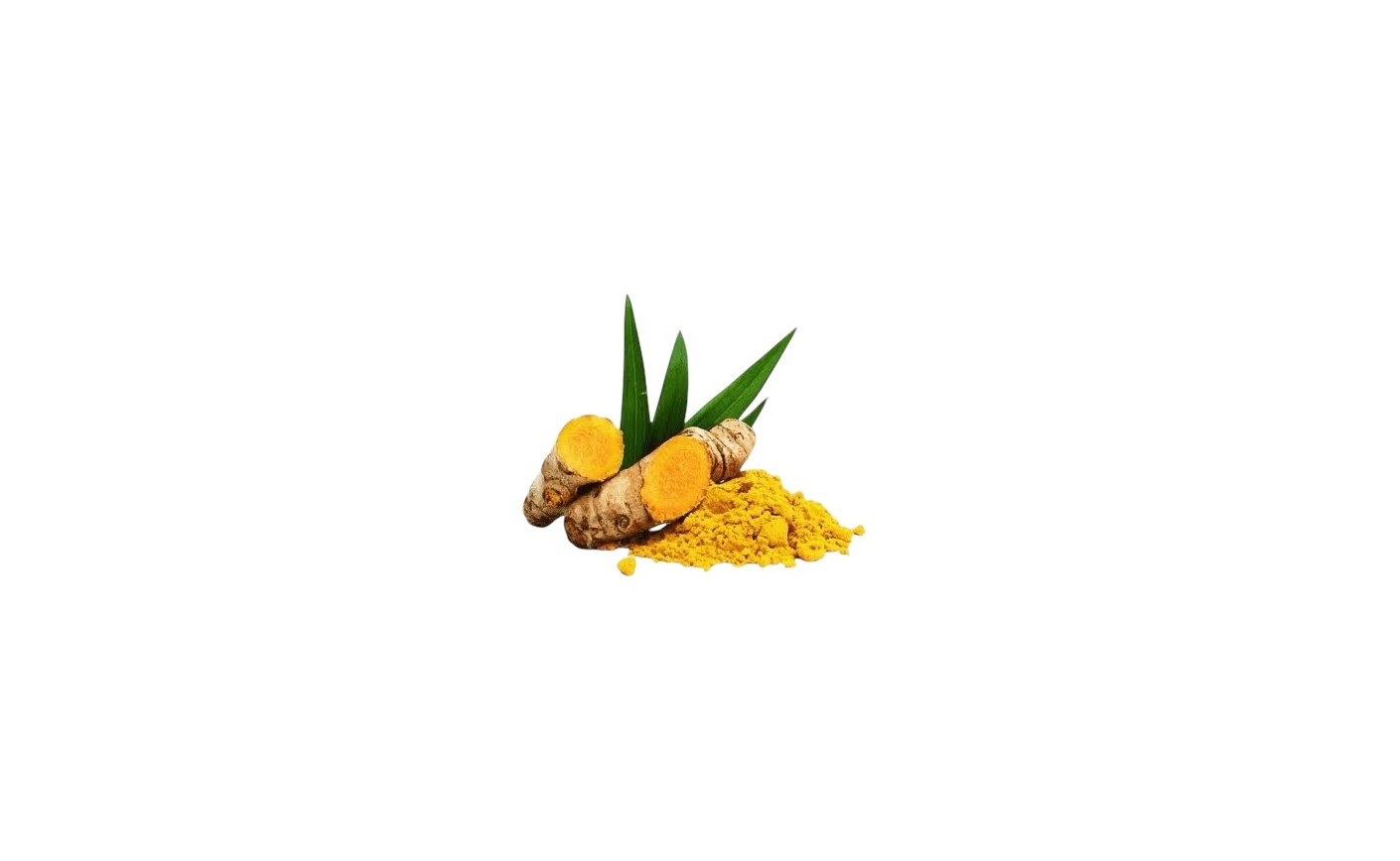 Zerdeçal Yağı - Curcuma longa
